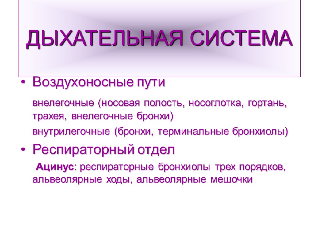 ДЫХАТЕЛЬНАЯ СИСТЕМА Воздухоносные пути внелегочные (носовая полость, носоглотка, гортань, трахея, внелегочные бронхи) внутрилегочные (бронхи,